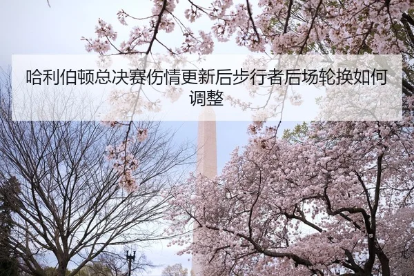 哈利伯顿总决赛伤情更新后步行者后场轮换如何调整