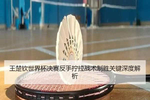 王楚钦世界杯决赛反手拧拉战术制胜关键深度解析
