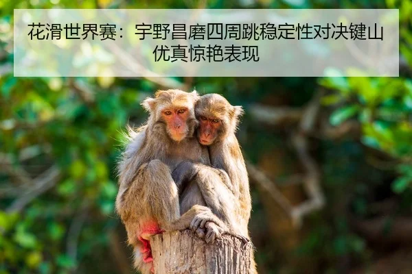 hua-hua-shi-jie-sai-yu-ye-chang-mo-si-zhou-tiao-wen-ding-xing-dui-jue-jian-shan-you-zhen-jing-yan-biao-xian-2-140.jpg