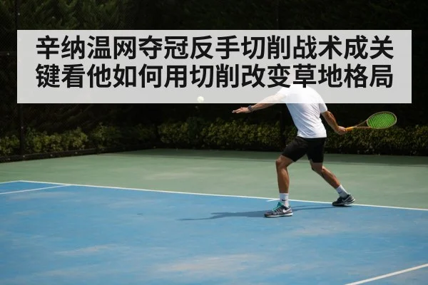 辛纳温网夺冠反手切削战术成关键看他如何用切削改变草地格局
